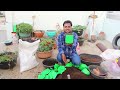 ఆకుకూరలు ఇలా ఈజీగా పెంచేద్దాం how to grow leafy vegetables at home spinach coriander amaranth