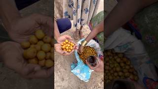 అరేయ్ ఇవి రేగిపళ్ళా? బోగి పళ్ళా? Do u know this fruit name?  #regipallu #rempallu  #bogipallu