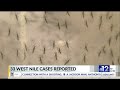 mississippi reports 33 human cases of west nile virus