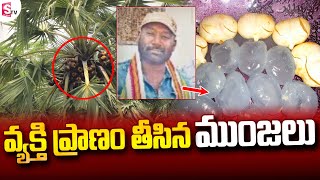 ముంజలు తీసిన ప్రాణం | Latest Telugu News | SumanTV Vijayawada