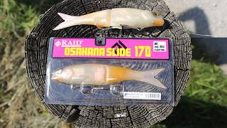 A Soft Plastic Glide Bait? (Raid Osakana Slider)