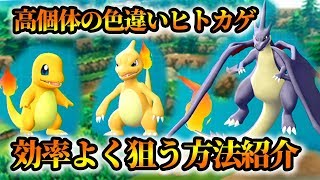 【ポケモンレッツゴー】色違いヒトカゲをゲットするまで寝ない！【Let's Go! ピカチュウ/イーブイ】