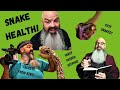 Snake Health: What to Be Aware of & How to Track