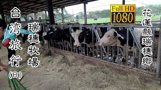 20201027_B 花蓮瑞穗牧場(日)_台灣旅行 (Hualien Rueisuei Pasture Daytime Taiwan Travel)