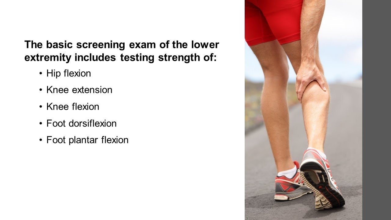 Lower Extremity Strength Physical Exam At Edward Acosta Blog