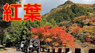 見事な紅葉でした【舗装林道 林道武木線・奈良県川上村】