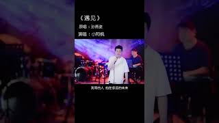 小阿枫 遇见 （抖音热门歌曲）（所以爱要拐几个弯才会来呢，一首好听的音乐分享给你们%翻唱 %音乐分享 %抖音热歌 %孙燕姿音乐DNA又动了 %音乐治愈 %唱歌 %好歌推荐）