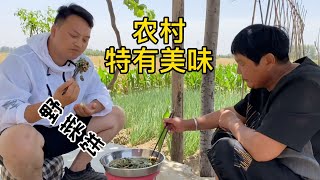 农村地头一野菜，却是河南小伙的最爱，奶奶手巧烙成饼，人间美味