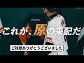 【2000試合確定な】代打 坂本wwwwwww【反応集】【プロ野球反応集】【2chスレ】【1分動画】【5chスレ】