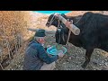 You Won't Believe How These Nomads Live And Cook (Movie)