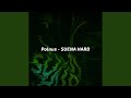 SUENA HARD (Remastered 2026)