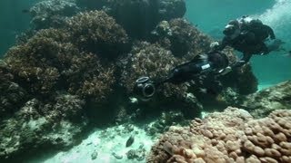 Virtual dive the Great Barrier Reef with \