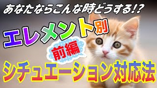 道端で迷子の子猫に遭遇､海外旅行でパスポート紛失…その時、あなたならどうする!?エレメント別シチュエーション対処法！【西洋占星術】前編