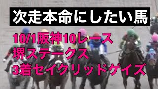 【競馬予想／次走本命にしたい馬】2023年10月1日阪神10R堺ステークス3着セイクリッドゲイズ「直線で終始前が壁になってしまい残り100メートルまで追えない不利」#競馬 #競馬予想 #次走の本命馬