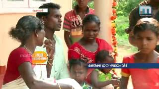 Home donated to tribal actor Mani ചലചിത്രതാരം മണിക്ക് വീട് വെച്ച് നല്‍കി