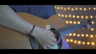 猫/DISH (Acoustic covered byあれくん)