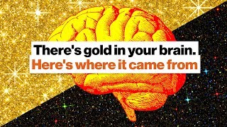 How astronomy makes neuroscience even cooler: brains, gold, and neutron stars | Michelle Thaller