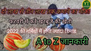 खरबूजा की खेती/ खरबूजे की खेती की संपूर्ण जानकारी / kharbuja ki kheti a to z #kharbuja #youtube