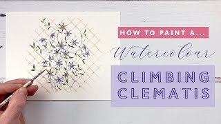 How To Paint A Watercolour Climbing Clematis Seasonal Flower Painting