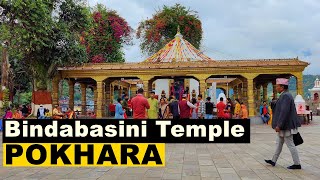 Walk around Bindabasini Temple, Pokhara || Virtual Walking Tour 2021🇳🇵