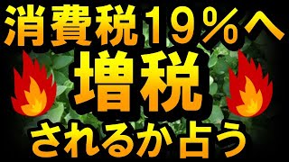 【削除の可能性あり】【チャンネル登録者限定】消費税19％へ増税されるか占う