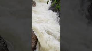 속이 뻥 뚫리는  시원한 계곡 물소리 a hollow sound of water in a valley #seoraksan  mountain #설악산 #watersound #물소리