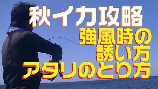 【秋エギング】入門中級編！強風時アタリのとり方、誘い方！初心者オススメ秋イカ狙い！エギング風対策フィールドスタッフおすすめ攻略法／eging