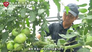 生産者の声　商品名：芸北高原　芸北トマト　生産者：JA広島市芸北野菜部会トマト専門部会（チアひろしま　広島県産応援登録制度）