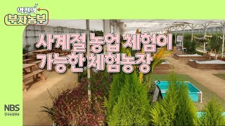 [역전의부자농부 287회] 사계절 농업 체험이 가능한 체험농장