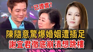 證實了？謝宜君陳隨意已協議離婚！精心策劃24年手段了得，陳隨意只能淨身出戶！ #謝宜君 #大嘴娛記