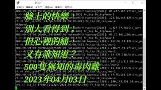 20230403 Botnet Detection Live Streaming (500+ zombies detected)