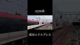 【もうすぐ見納め】E259系成田エクスプレス　高速通過(130.0km/h)