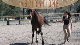 Apprendre les aspirations à son cheval