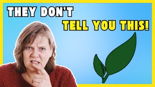 Paperless‑ngx Review - YOU MUST KNOW THIS BEFORE TRYING!