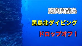 黒島北ダイビング・ディーズパルス沖縄