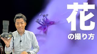 【初心者でも】春の花々をキレイに撮る方法とマクロレンズの使い方のコツ教えます講座【オート先生】