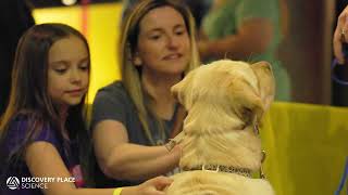 Discovery on Demand - Ask an Expert: Canine Companions