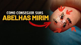 How to GET your MIRINS COLONIES!🐝