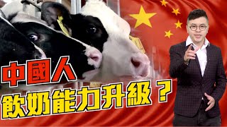 【on.cc東網】東網點評：會肚瀉又要飲　中國熱捧乳製品之謎