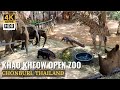 [CHONBURI] Khao Kheow Open Zoo 