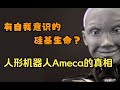 谣言粉碎系列（一）有自我意识的硅基生命？人形机器人Ameca的真相