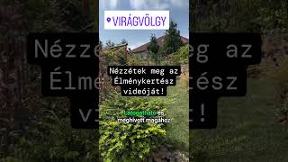 Nézzétek meg az Élménykertész nálam készült videóját. #ritakertje #élménykertész @elmenykertesz