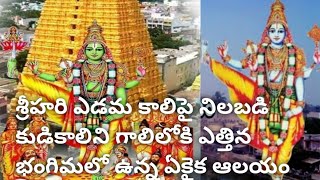 శ్రీహరి ఎడమ కాలిపై నిలబడిన బంగిమలో ఉన్న త్రివిక్రమ పెరుమాళ్ ఆలయ విశేషాలు