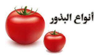 أنواع البذور ( هجين محمي /هجين مكشوف/ عادي / ورقيات ) Types of seeds