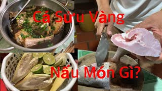 Món ngon từ cá Sửu Vàng