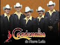 cardenales de nuevo leon comprendala