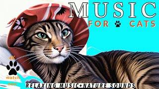 Daisy's Diary: #33 Music for Cats to Fall Asleep, Cat Music, Calming Cat Music & Nature Sounds, 4K