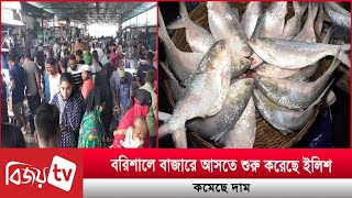 বরিশালে বাজারে আসতে শুরু করেছে ইলিশ, কমেছে দাম । Bijoy TV