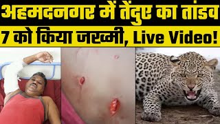 Leopard attack in Ahmednagar, Maharashtra, अहमदगनर में मकान में घुस तेंदुए ने किया हमला, 7 जख्मी