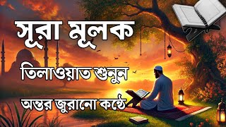 স্বর্গীয় কোরআন তেলাওয়াত সূরা মুলক | Beautiful Recitation for Relaxing Sleep | Nature of Islam